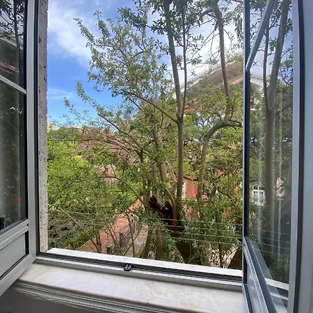 Casa Do Mocho Ii Apartment Lisbon